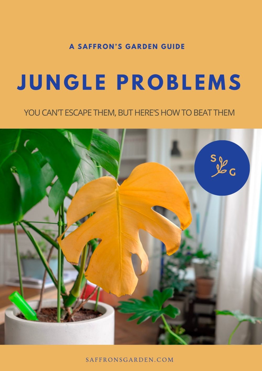 Jungle Problems